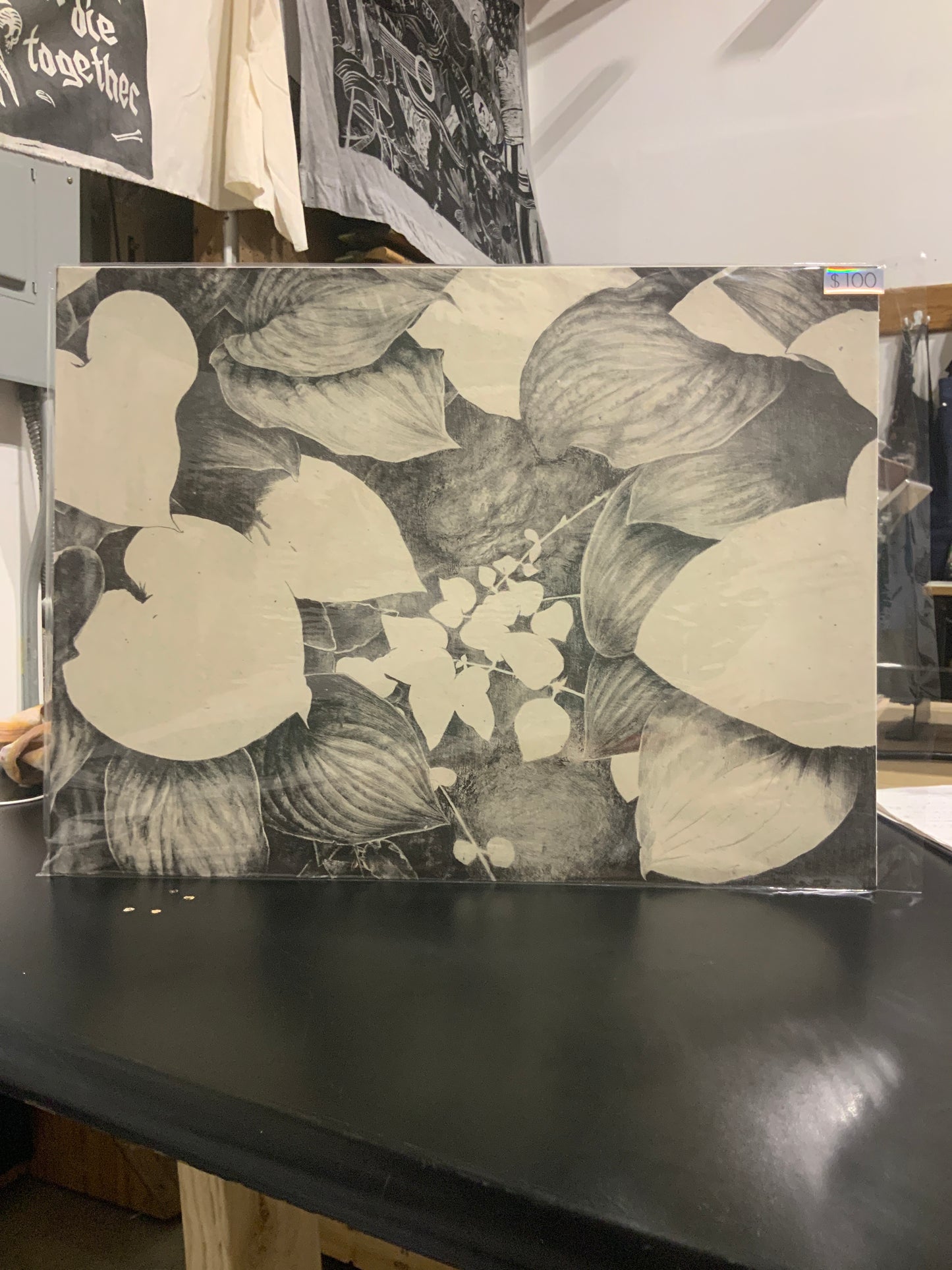 Untitled 1 - Heart Shaped Leaves