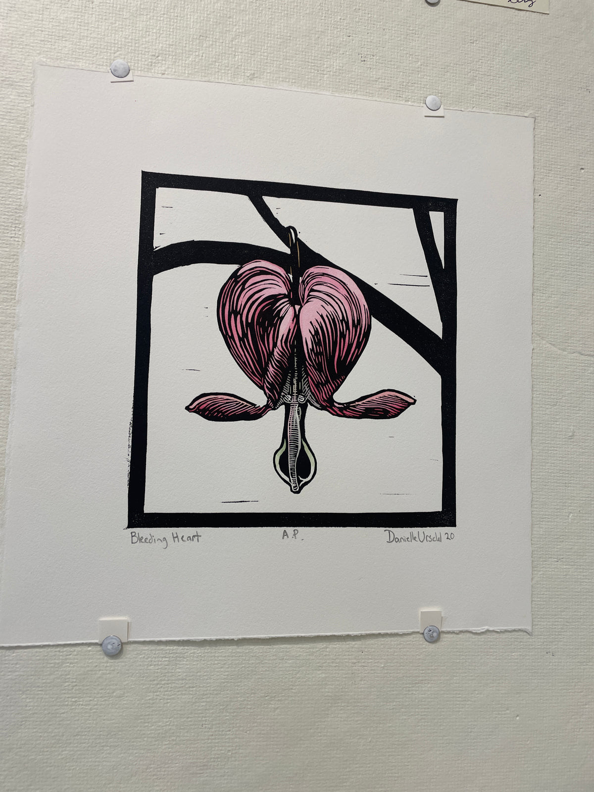 Bleeding Heart