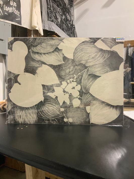 Untitled 1 - Heart Shaped Leaves