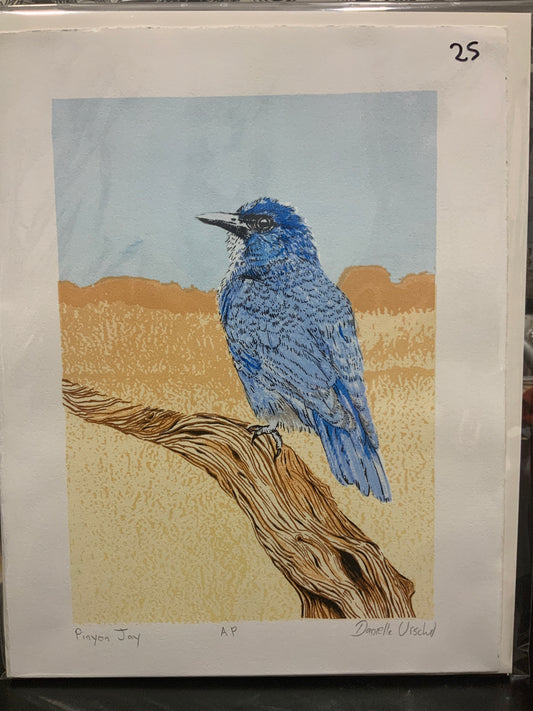 Pinyon Jay