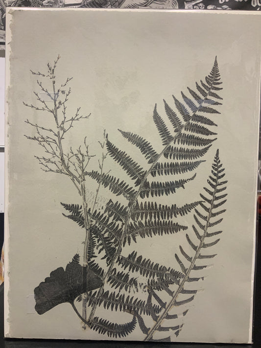 Fern, ginco leaf, twig