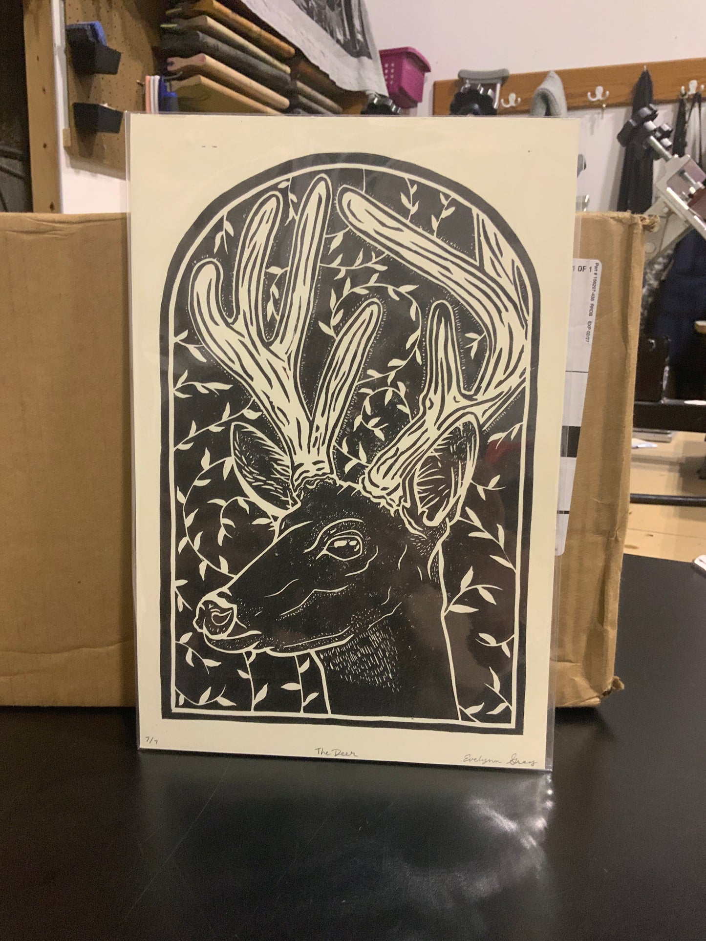 Deer
