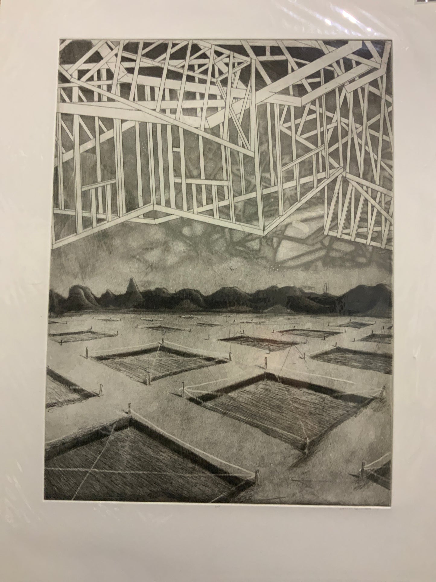 Untitled 3 - House framing over plots