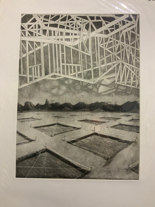 Untitled 3 - House framing over plots